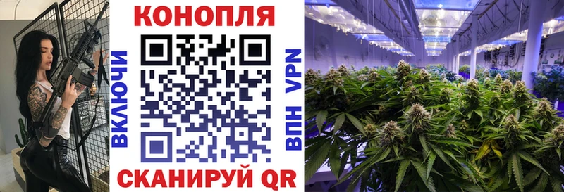 Цена Усть-Кут Псилоцибиновые грибы  Alpha-PVP  Марихуана  Меф мяу мяу  Cocaine 
