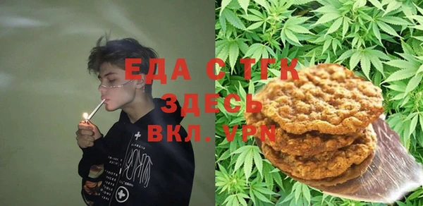 индика Абаза