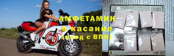 индика Абаза